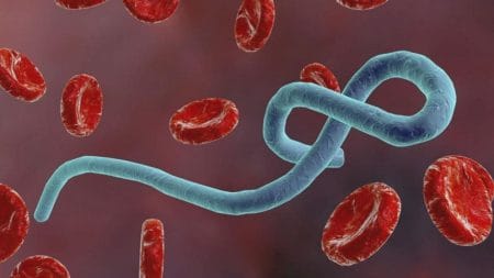 Two performers identified in Ebola drugs trial