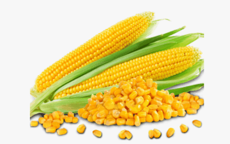 Maize: CBN tells Authorised Dealers to Stop Processing Form M Maize: CBN tells Authorised Dealers to Stop Processing Form M