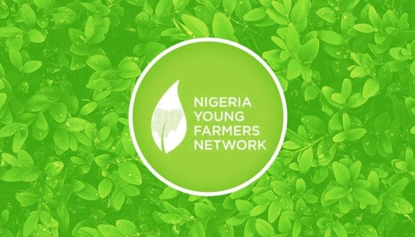 Anchor Borrowers Programme: NYFN urges CBN to include regional crops