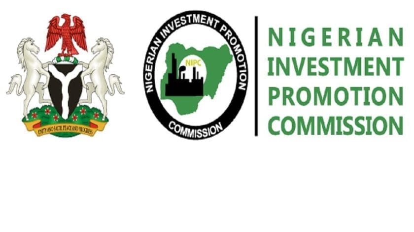 NIPC to Implement Single Window Investment Portal in 2021, Says Official