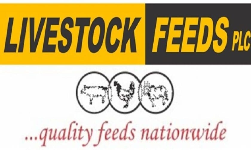 Livestock Plc. Sees Sky-High Earnings Jump in H1-2021 1 Livestock Plc. Sees Sky-High Earnings Jump in H1-2021