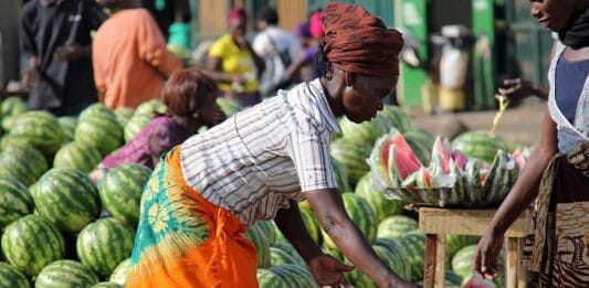 Finnfund, University of Helsinki to Invest in Microfinancing in Africa