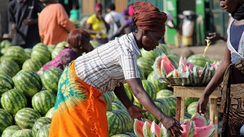 Finnfund, University of Helsinki to Invest in Microfinancing in Africa