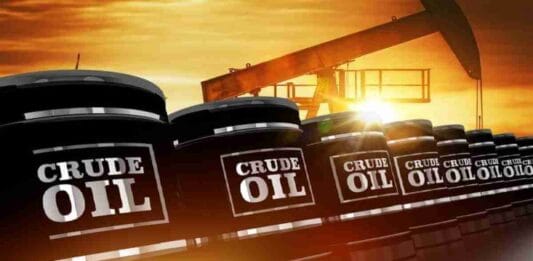 Oil Prices Plunge as OPEC Lower Demand Expectation