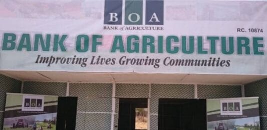 Over 84% of Anchor Borrowers Loans Defaulted, BoA Says