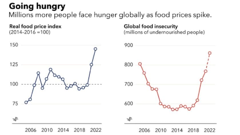 828m People Go to Bed Hungry Every Night, Suffering Worst in 48 Countries