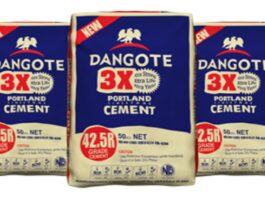Dangote Cement Rises after Shares Repurchase Plan
