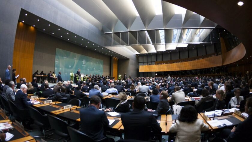 Global Trade Growth to Slow as Import Demand Softens -WTO