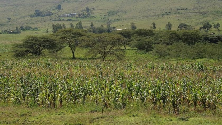 Fg, World Bank Appoint 'Manager' For $700Mn Agro-Climatic Project