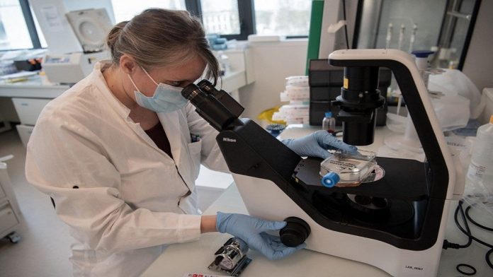 Israeli Researchers Develop RNA-Based Drug to Destroy Cancer Cells in Bone Marrow