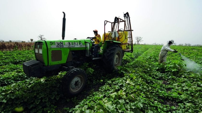 EIB, COFINA to Boost Agriculture in Côte d'Ivoire, Senegal