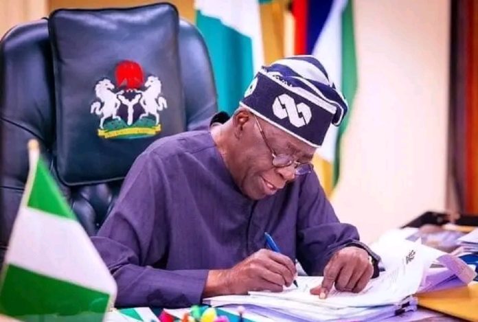 President Bola Tinubu has called for German investment in critical sectors of Nigerian economy such as power and rail transportation.