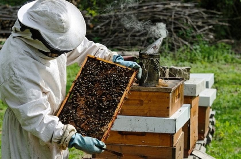RMRDC Urges Apiculturists to Explore Innovations in Beekeeping for Nigeria’s Economic Growth