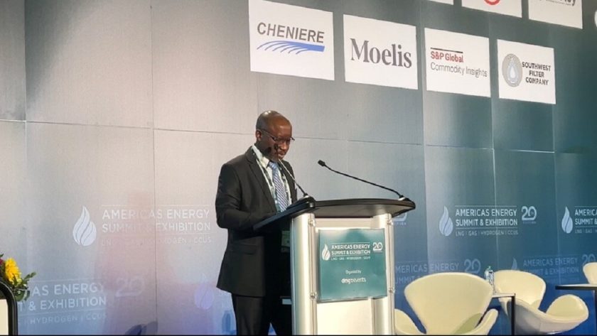 Fg Seeks Foreign Investment Partners In Hydrogen Production