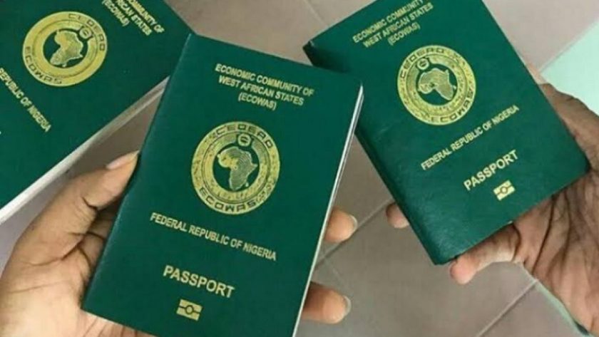 Nis Plans International Passports For All Nigerians