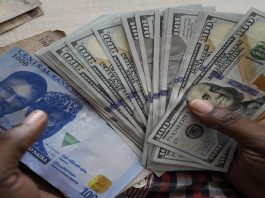 Naira Loses Its Shine at N1,490 Per US Dollar