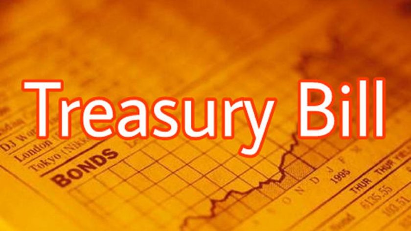 Alpha Seekers Bet N2.24Trn on Treasury Bills
