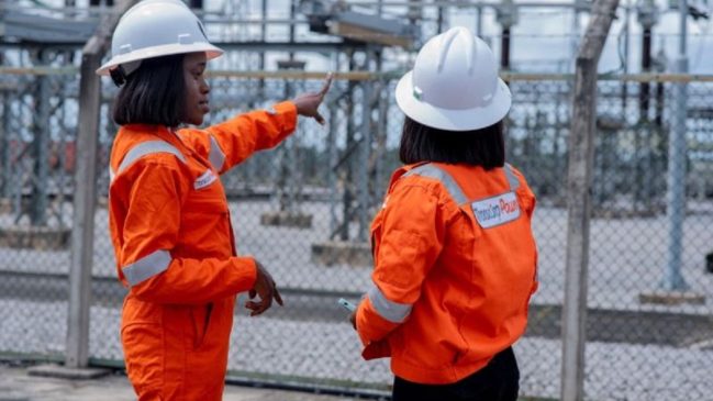Early Investors Boost Transcorp Power Value by 33% to N2.4Trn 1 Early Investors Boost Transcorp Power Value by 33% to N2.4Trn