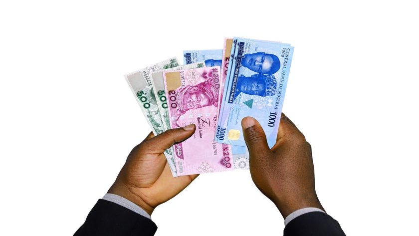 Naira Devaluation Damages Companies Earnings, Balance Sheets