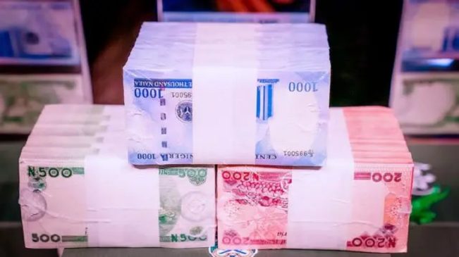 Naira is 60% Weaker Compared to One Year Ago: BMI 1 Naira is 60% Weaker Compared to One Year Ago: BMI
