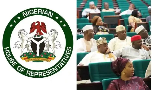 Reps Demand Restructuring of Terminal Operators, NPA Licensed Agents 1 Reps Demand Restructuring of Terminal Operators, NPA Licensed Agents