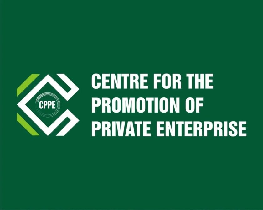 CPPE Urges CBN to Stabilise Exchange Rate, Peg Customs Duty at N1,000 CPPE Urges CBN to Stabilise Exchange Rate, Peg Customs Duty at N1,000