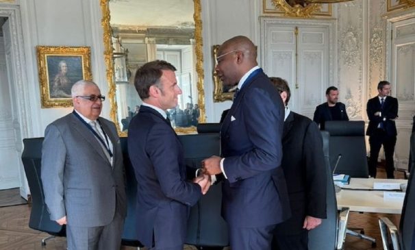 Macron Appoints Aig-Imoukhuede as President of France Nigeria Business Council 1 Macron Appoints Aig-Imoukhuede as President of France Nigeria Business Council