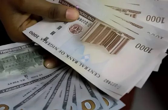 Naira Crashes after Foreign Payments Climb by 23% 1 Naira Crashes after Foreign Payments Climb by 23%