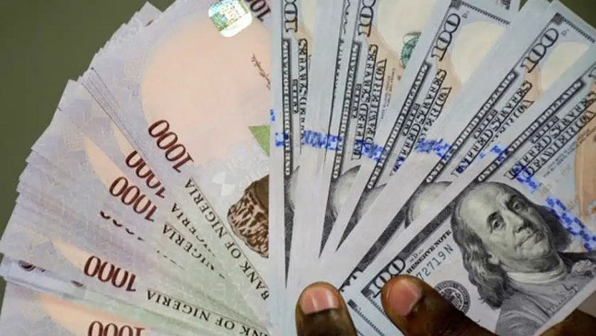 Naira Slides by 4.6% Against Dollar at Official Market