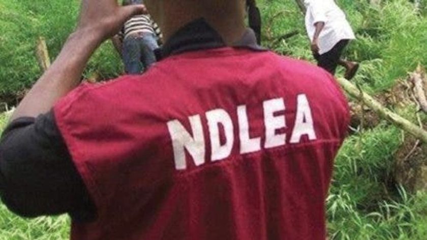 Ndlea Bursts Shrine Used To Store Illicit Drugs In Edo