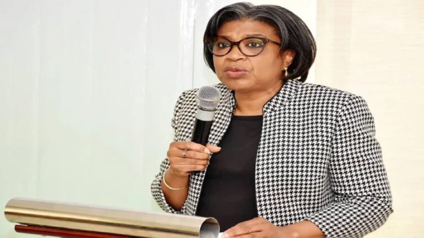 Ways And Means Securitisation Responsible For N24Trn Debt Rise – Dmo