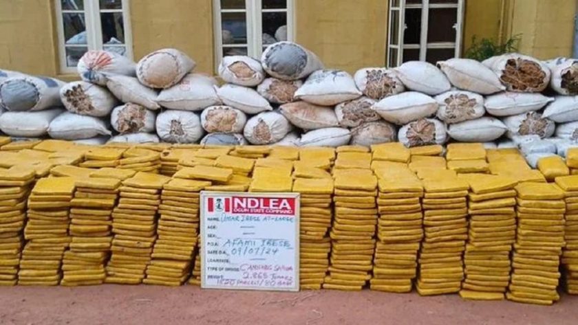 NDLEA Seizes US, UK, Europe-Bound Cocaine, Opioids in Lagos