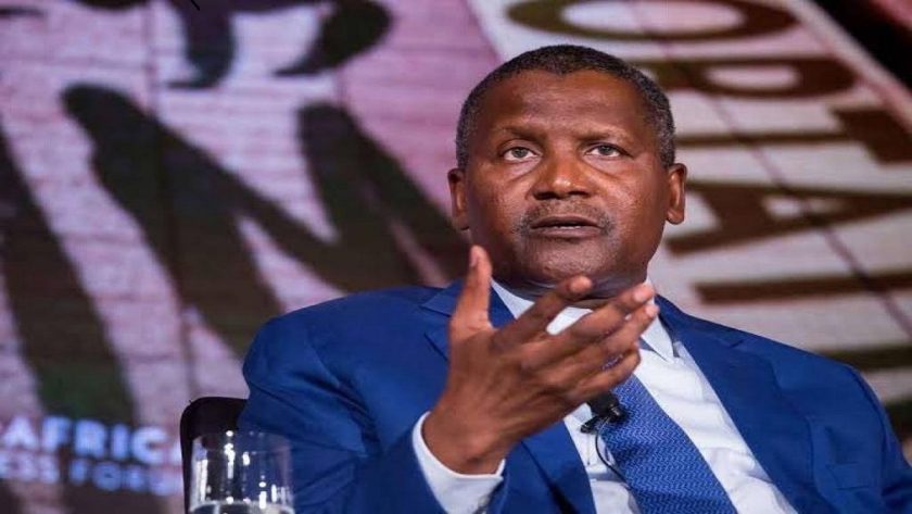 Dangote Cement Loses 10% or N1Trn as Investors Dump Shares Dangote Cement Loses 10% or N1Trn as Investors Dump Shares