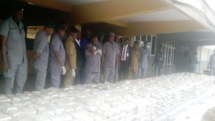 NCS: Oyo/Osun Command Seizes Drugs, Contraband Worth N713m