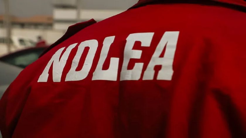 NDLEA intercepts N2.2bn codeine bottles at Lagos port