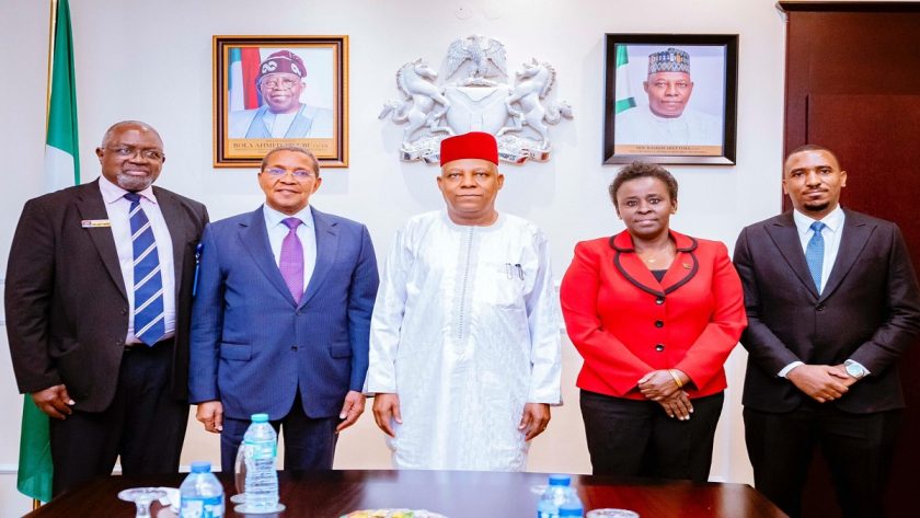 Shettima Seeks Stronger Economic, Social Ties With Tanzania