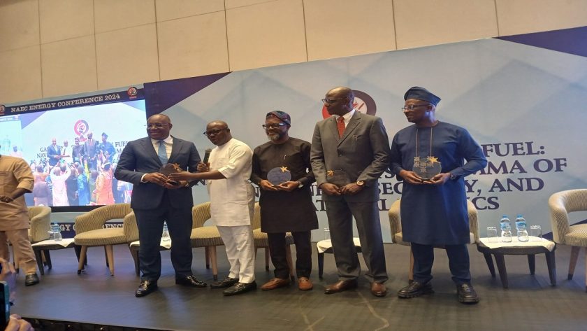 Neiti Calls For Transparency To Unlock Nigeria’s Energy Potential