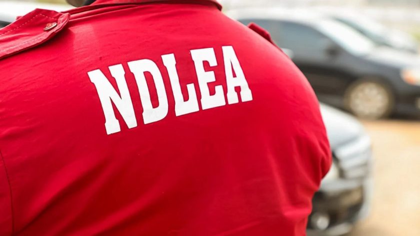 NDLEA Secures 9,043 Convictions, Arrests 52 Barons NDLEA Secures 9,043 Convictions, Arrests 52 Barons