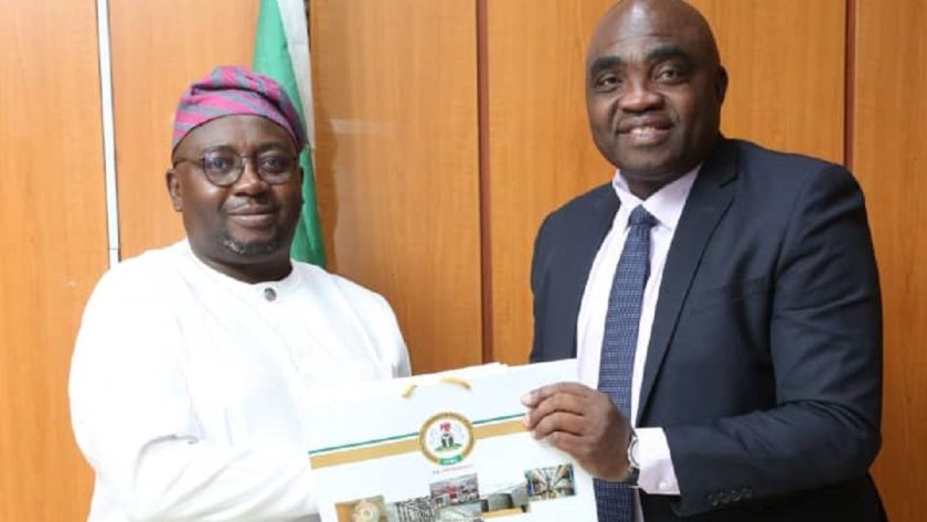 Nigeria Needs $10bn PPP Investment in Power Sector – Adelabu