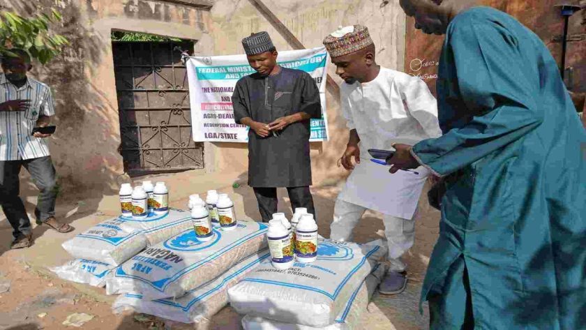 Fg Commences Wheat Cultivation In Adamawa