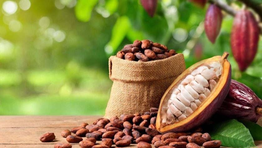 Cocoa Price Surge: Global Shift Drives Opportunities For Investors