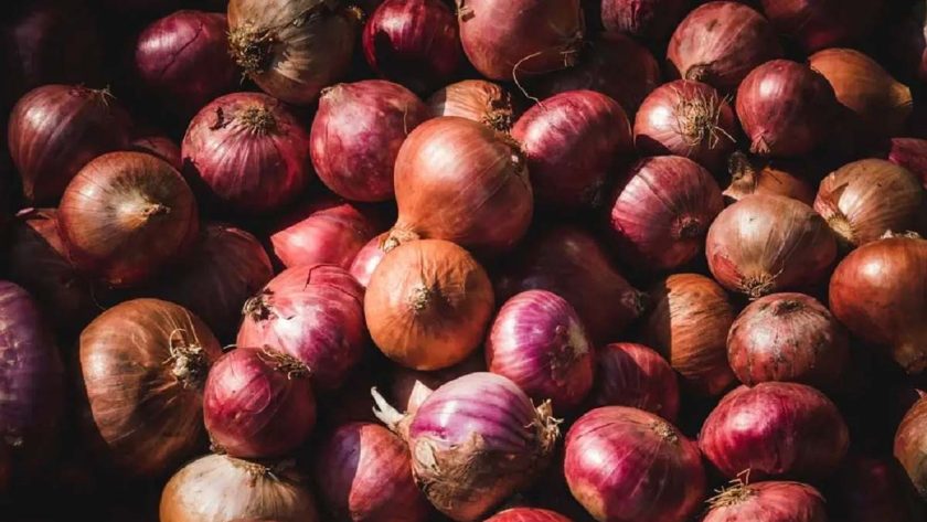 Onion Farmers Link Price Hike, Scarcity to Flood, Climate Change