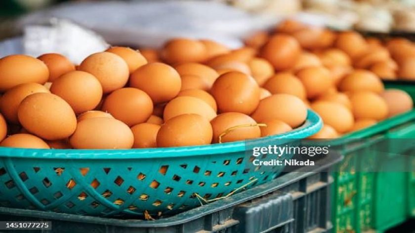 N500m Subsidy: Poultry Farmers Project Drop in Egg Prices N500m Subsidy: Poultry Farmers Project Drop in Egg Prices