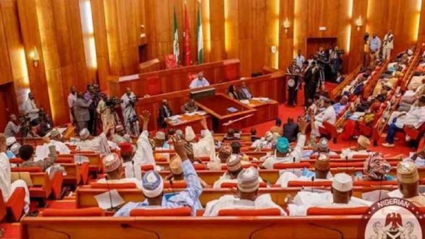 NASS Effects Corrections on N54.9trn Appropriation Bill