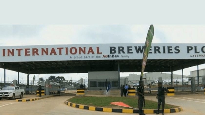 INTBREW Hits New 52-Week High in Non-Stop Rally INTBREW Hits New 52-Week High in Non-Stop Rally