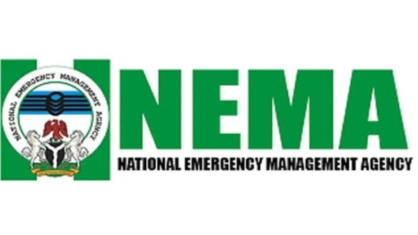 Nema, Africa Re Partner To Enhance Disaster Risk Financing