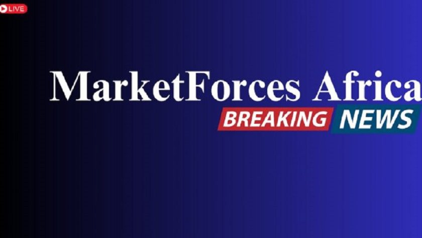 Nigeria's Private Sector Output Growth Hits 15-Month High –PMI