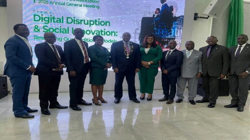 Nia Records Strong Financial Growth In 2024