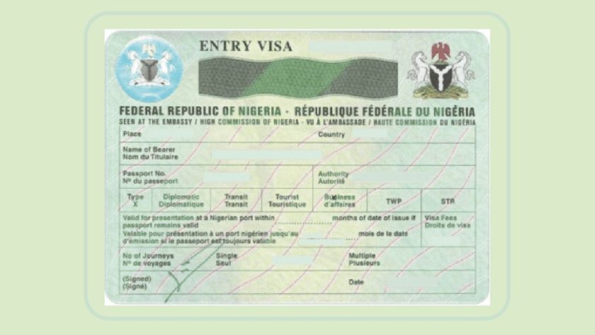 FG Launches Visa Amnesty for Foreigners
