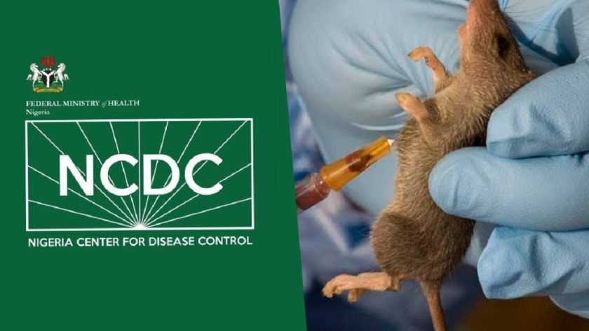 Lassa Fever Kills 152 in Nigeria, NCDC Says Lassa Fever Kills 152 in Nigeria, NCDC Says